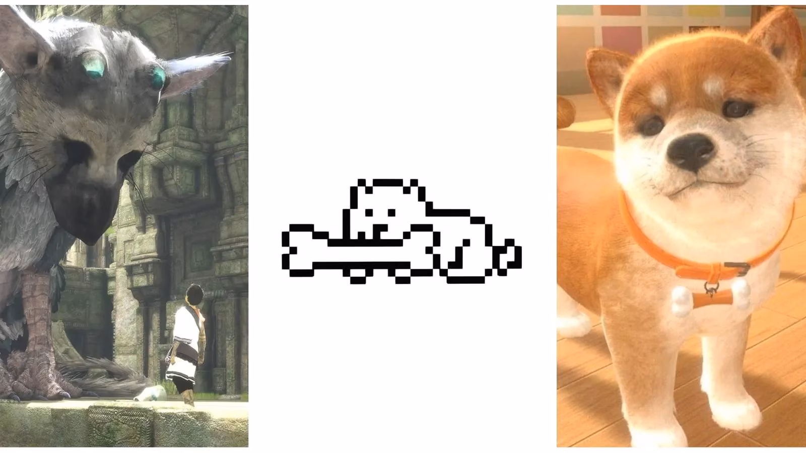 the-pixelated-paws-that-padded-through-my-gamer-heart-image-0