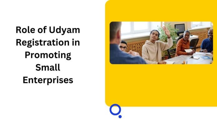 Role of Udyam Registration in Promoting Small Enterprises