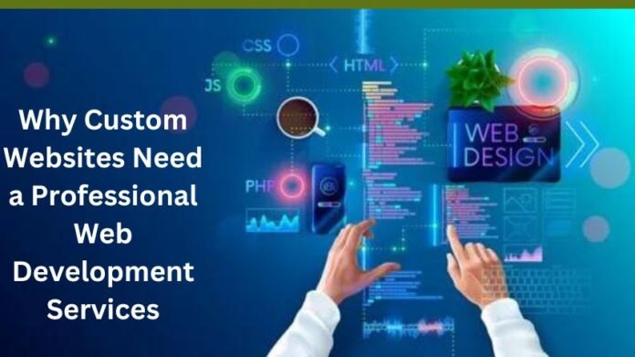 Why Custom Websites Need a Professional Web Development Services