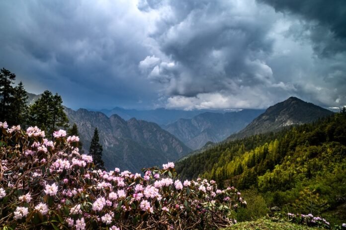 Sar Pass Trek